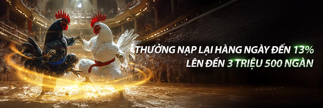 Đá gà trực tuyến kịch tính tại hcm666 code